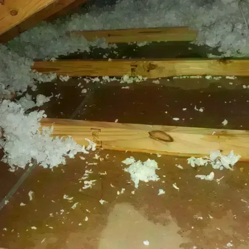 Attic Water Damage in Coburg, OR